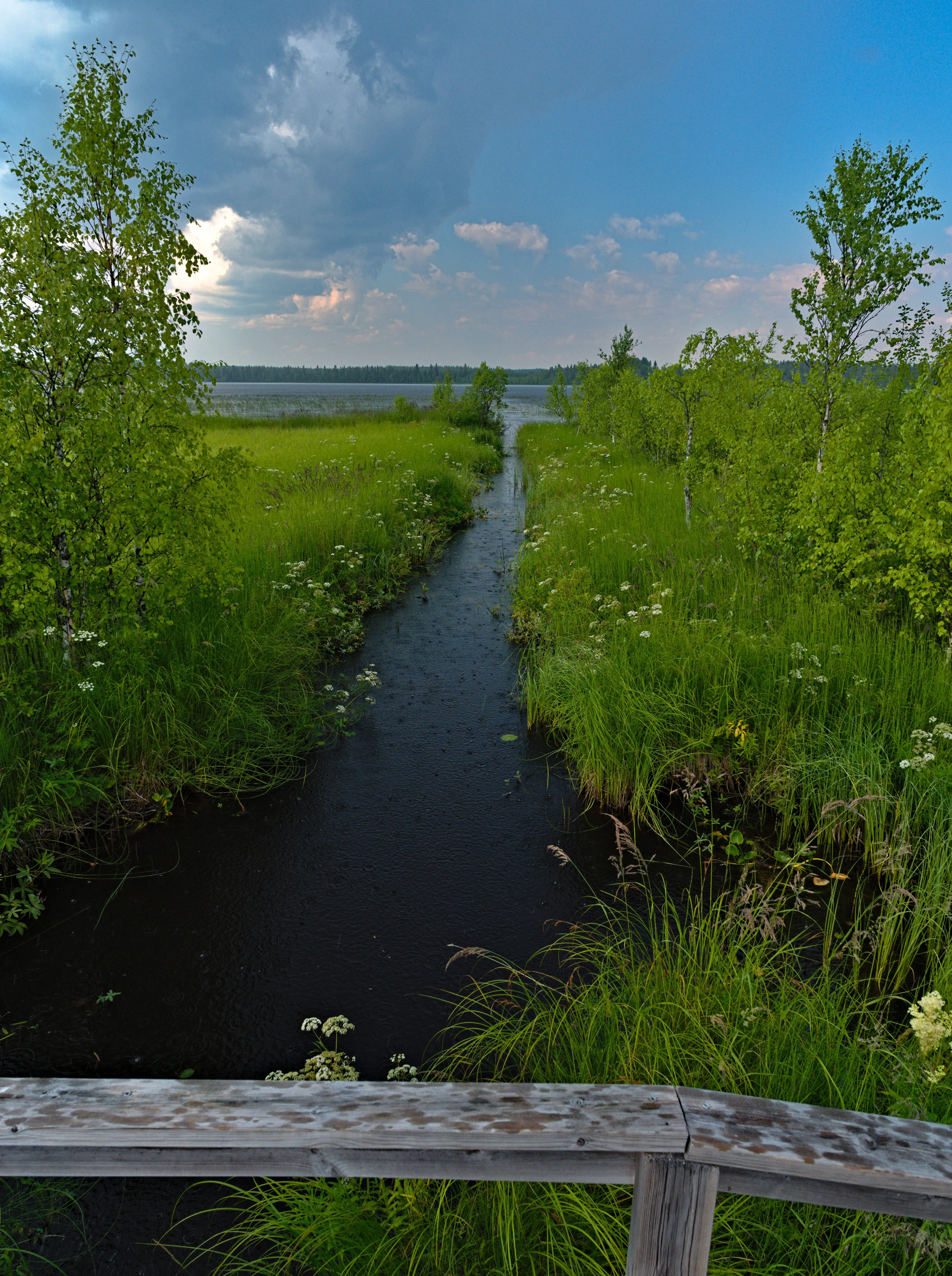 Juutislammen luontopolku, Pudasjärvi.