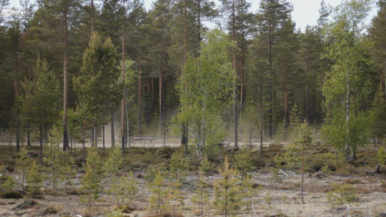 Video siitä kuinka kuivaa luonnossa on