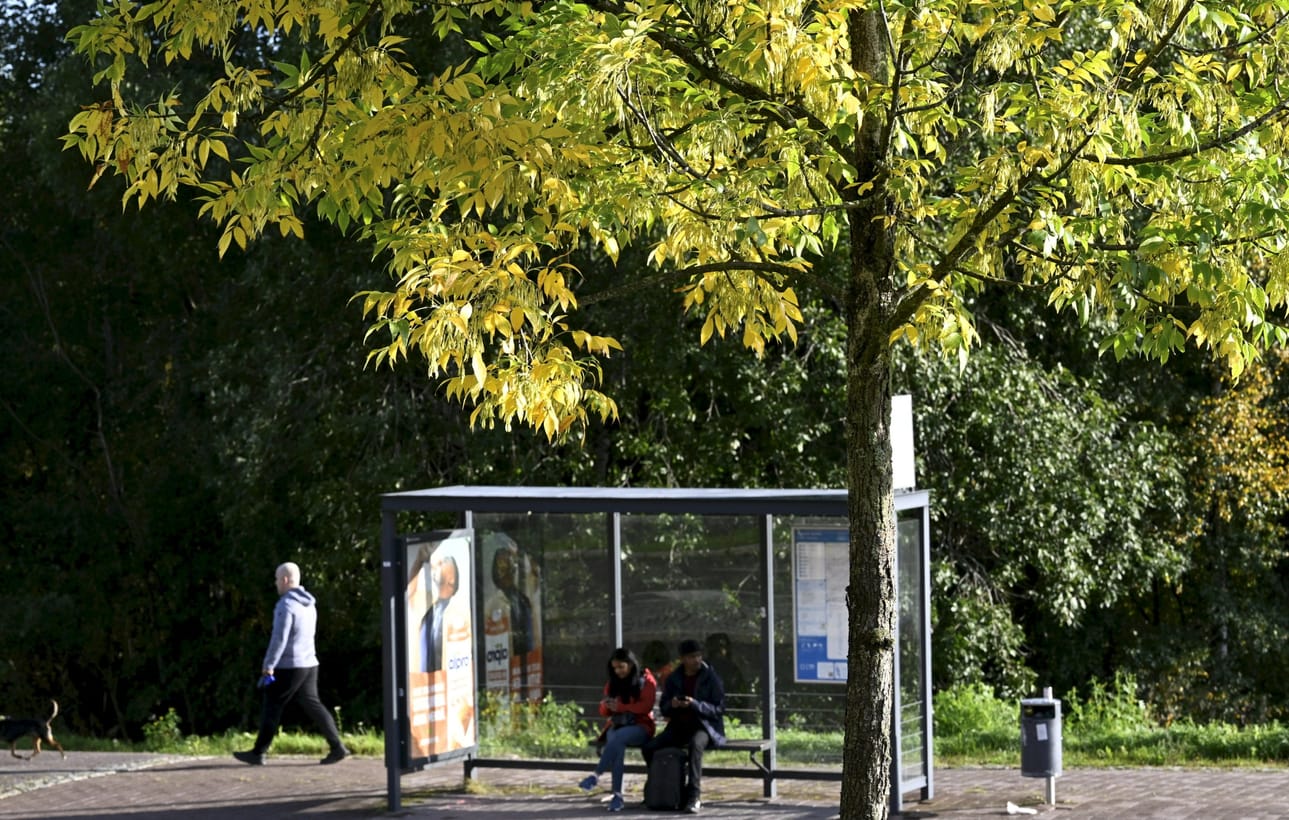 Viikon jälkipuoliskolla lämpötila voi käväistä etelässä jopa 20 asteen tietämillä. LEHTIKUVA / HEIKKI SAUKKOMAA