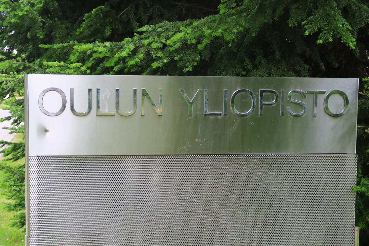 Oulun yliopisto, yliopisto