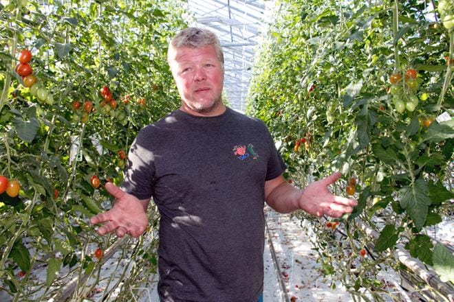 Joakim Strandin kasvihuoneen käytössä on myös oma lähde, johon viljelmä turvautuisi vesipulassa. Sen lisäkäyttö vain on hieman hankalaa, koska vesi ei ole niin puhdasta. KUVA: JORMA HAVULA