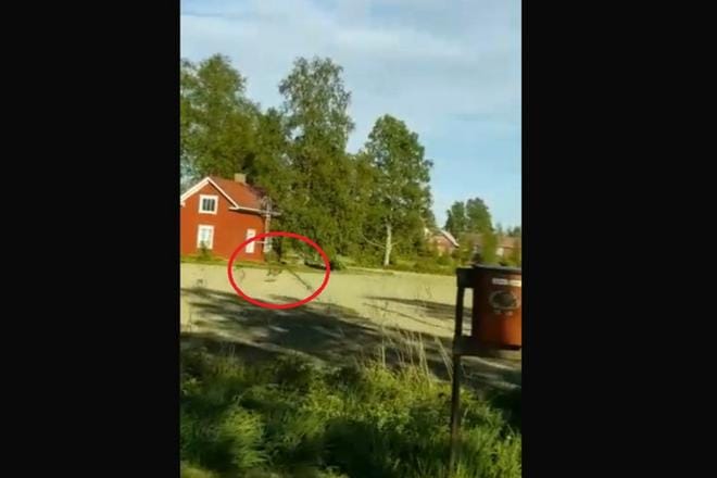 Kuvakaappaus Niko Mäkisen kuvaamalta videolta.