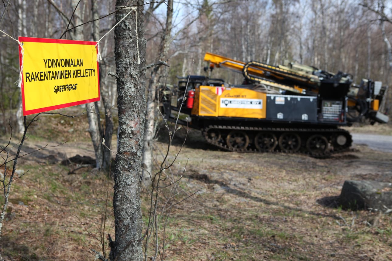Hanhikivenniemen luonnossa loikkii rauhoitettuja viitasammakoita.
