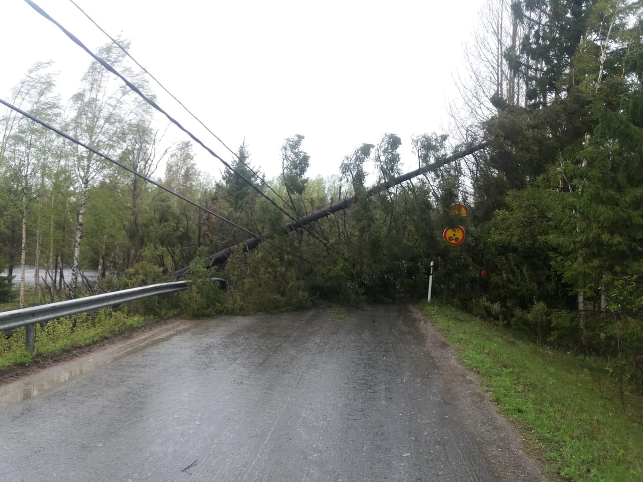 Myrsky kaatoi puita Kuivanuorontielle Kemissä.
