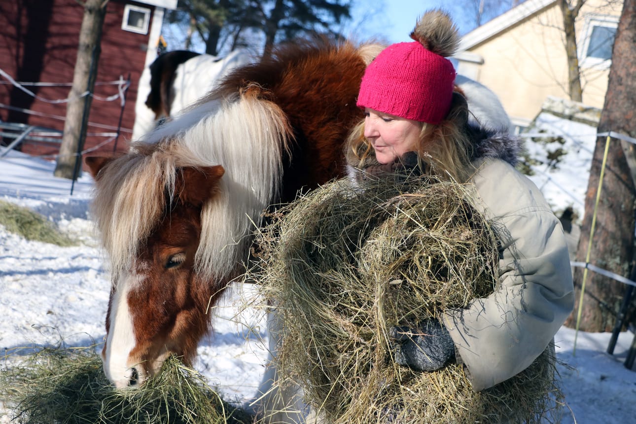 Eläimet ovat olleet aina lähellä Pirjo Suvilehdon sydäntä. Pritney ja Etola esiintyvät myös uuden runokirjan sivuilla.