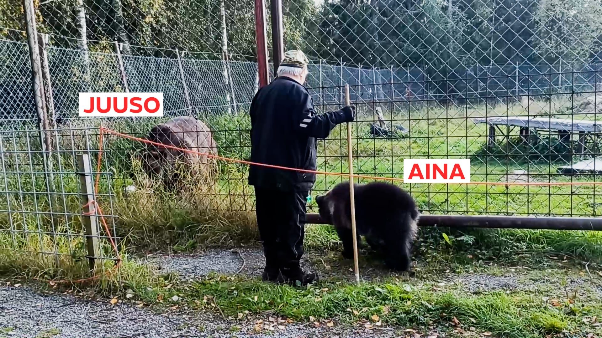 Orpo Aina-karhu kohtasi Sulo Karjalaisen johdolla Juuson – katso, kuinka kaksikon tapaaminen meni