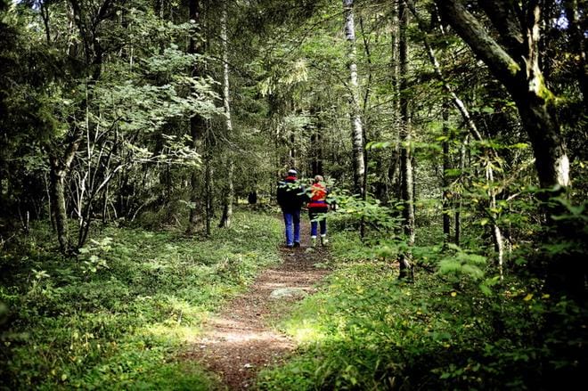 Syksy on hyvää aikaa luonnossa reippailulle. ARKISTOKUVA.