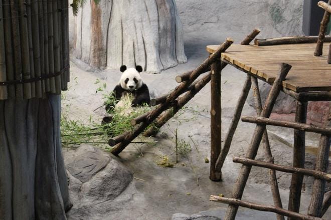 Kuvituskuva: Reijo Heikkilä