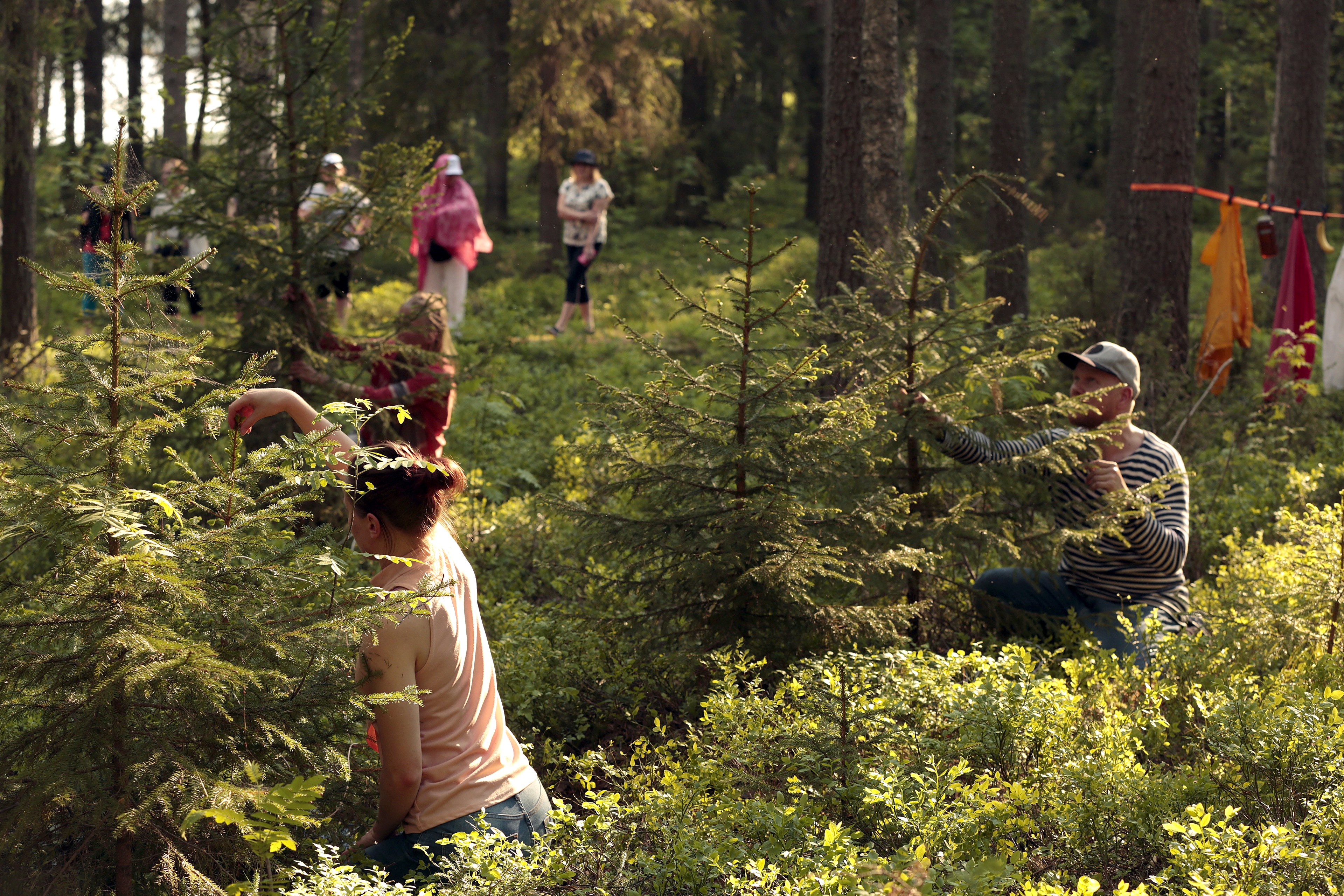Metsäbaletin alussa pienet näreet alkavat väristä tanssijoiden Satu Rinnetmäki, Laura Koistinen ja Saku Koistinen käsissä. Äänilähteistä vastaa Vespa Laine ja Fern Orchestra, jonka instrumentteina toimivat kasvit ja mikro-organismit.