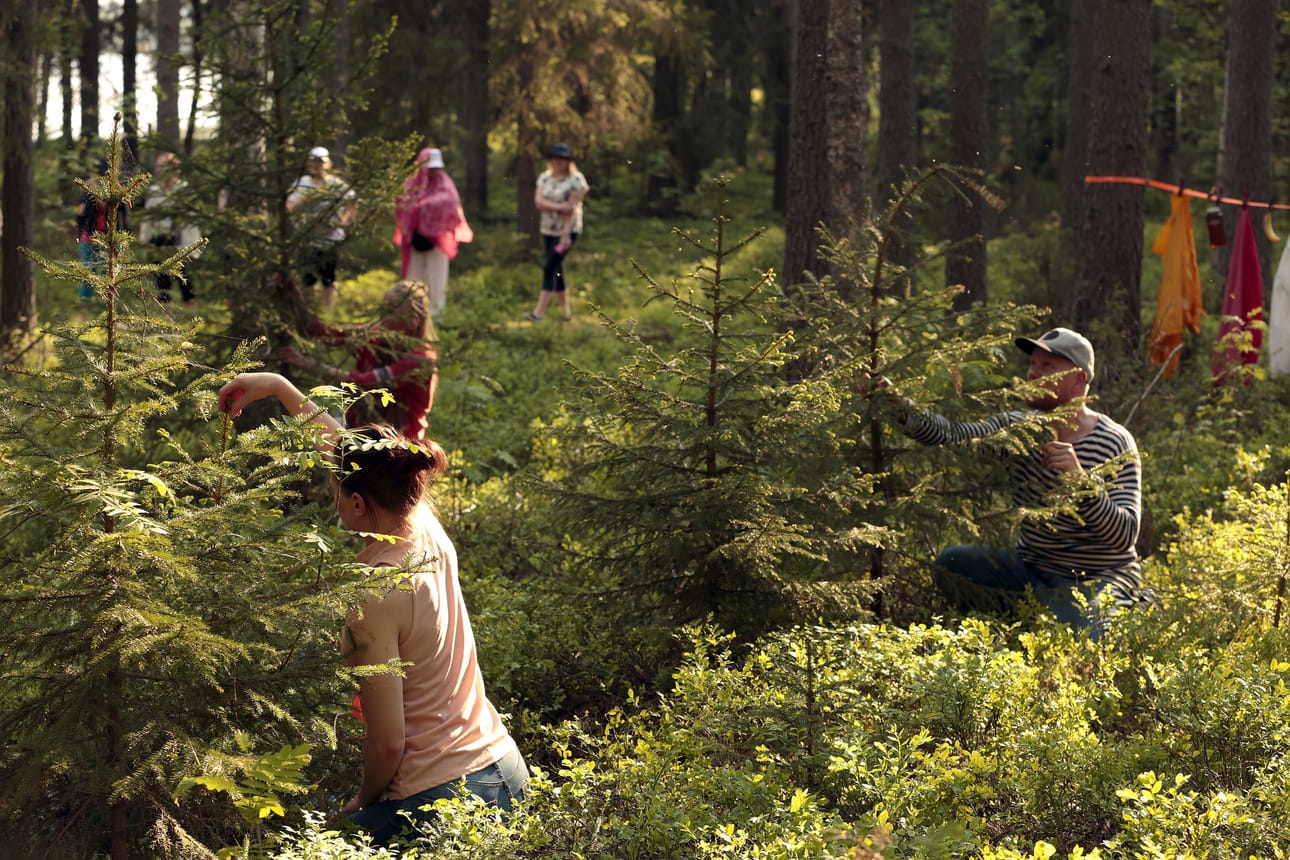 Metsäbaletin alussa pienet näreet alkavat väristä tanssijoiden Satu Rinnetmäki, Laura Koistinen ja Saku Koistinen käsissä. Äänilähteistä vastaa Vespa Laine ja Fern Orchestra, jonka instrumentteina toimivat kasvit ja mikro-organismit.