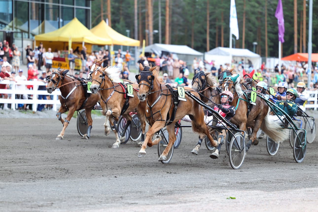 Santtu Raitalan ohjastama Lumi-Oosa viimeisteli St Michel-tammatähden voitolla kuningatarkisaan.