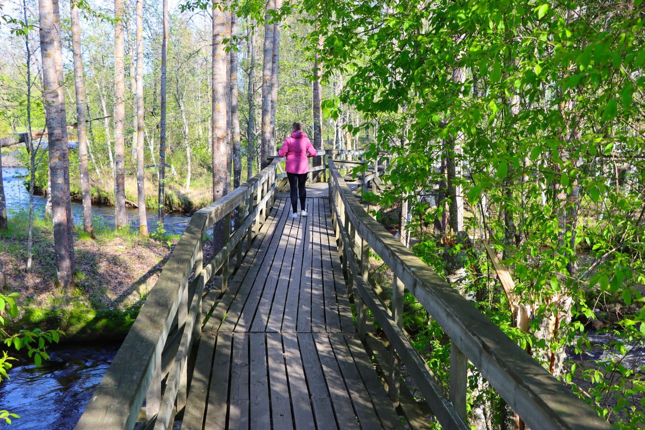 Storholmenin upealle saarelle kuljetaan vesistön ylittävää puusiltaa pitkin.