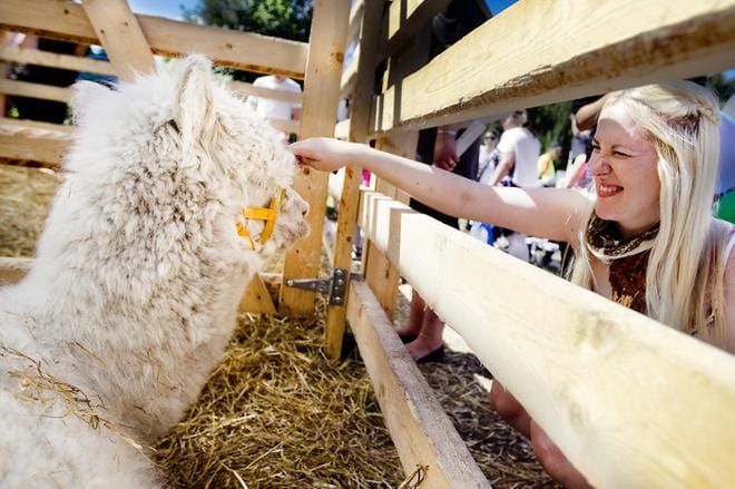 Farmari-näyttely järjestettiin Seinäjoella edellisen kerran vuonna 2013. Kuva: Jaakko Elenius