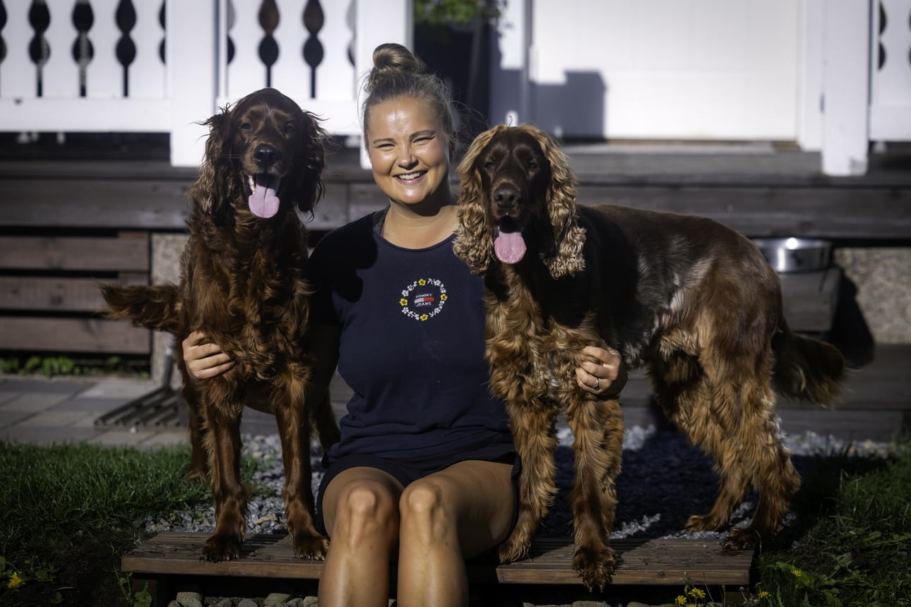 Sofia Hongellin mukaan hänen omat koiransa Nipsu (vas.) ja Hessu tulevat hyvin toimeen hoitokoirien kanssa.