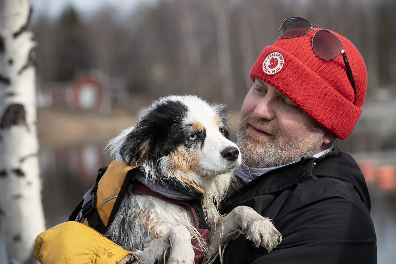 – Minulla on ollut hyvä aihio, kun ei Hallaa ole tarvinnut pahemmin kouluttaa. Mutta toki sen on pitänyt alusta lähtien kulkea kaikessa mukana, että se on oppinut tällaiseen, Jouni Leinonen tuumaa.