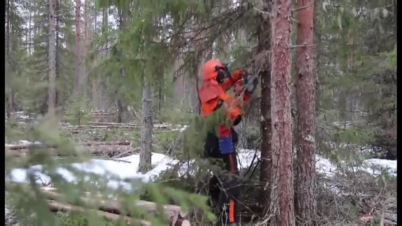 Kun Matti metsälle lähti..