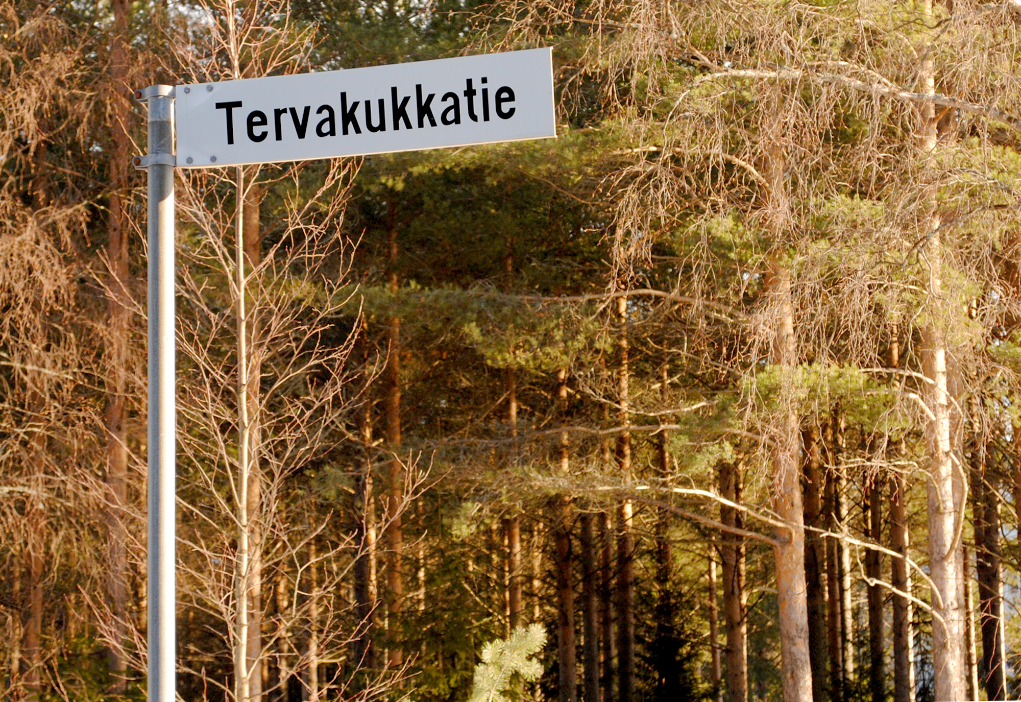 Rajakylästä Tervakukkatieltä löytyi asunnon haltija Esko Haurinen kuolleena vähän ennen juhannusta 1996. Teko paljastui henkirikokseksi vasta oikeuslääketieteellisessä ruumiinavauksessa.