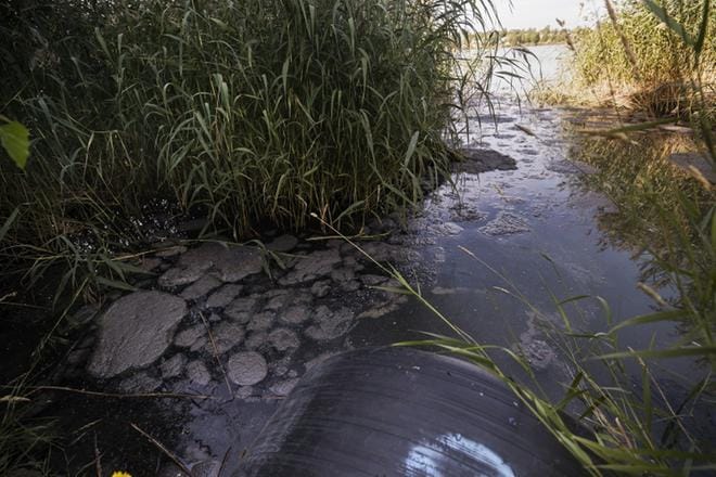 Keskiviikkona iltapäivällä Onkilahden rannassa oli edelleen havaittavissa tummaa ja haisevaa jäteliejua. Vaasan vesi on luvannut imeä jätteet pois torstaiaamuna imuautollaan. KUVA: JARNO PELLINEN