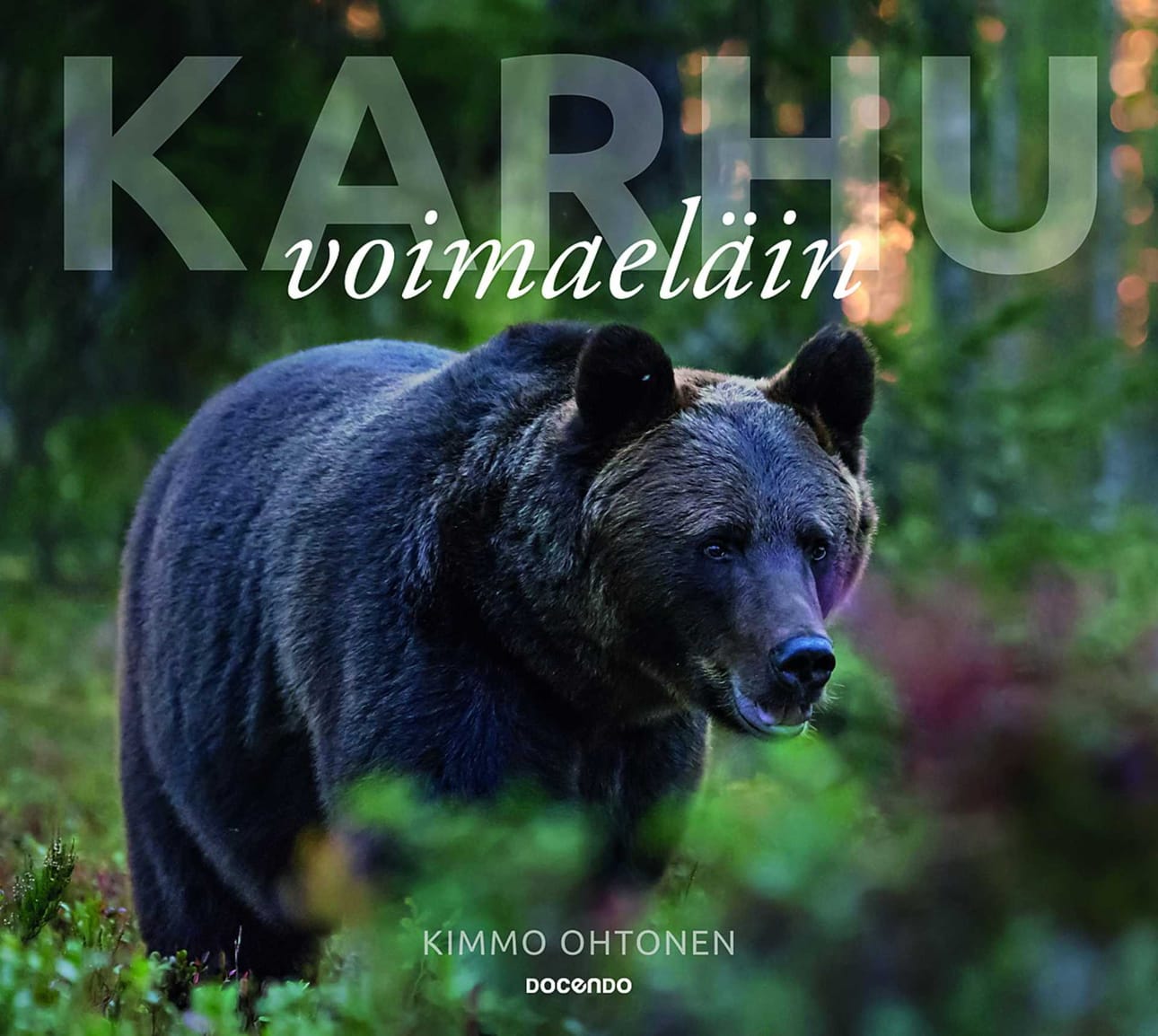 Kimmo Ohtosen Karhu – voimaeläin -kirja voitti Lukija-Finlandian 2016. Teoksessa karhutietous ja metsän pojan kasvutarina kietoutuvat yhteen.