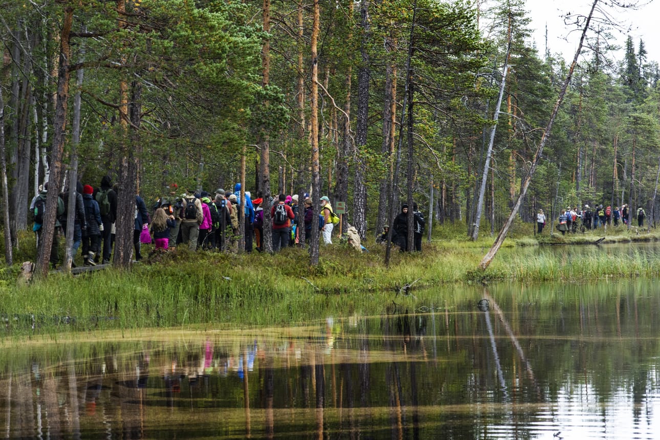 Yleisö kulki pitkospuita.
