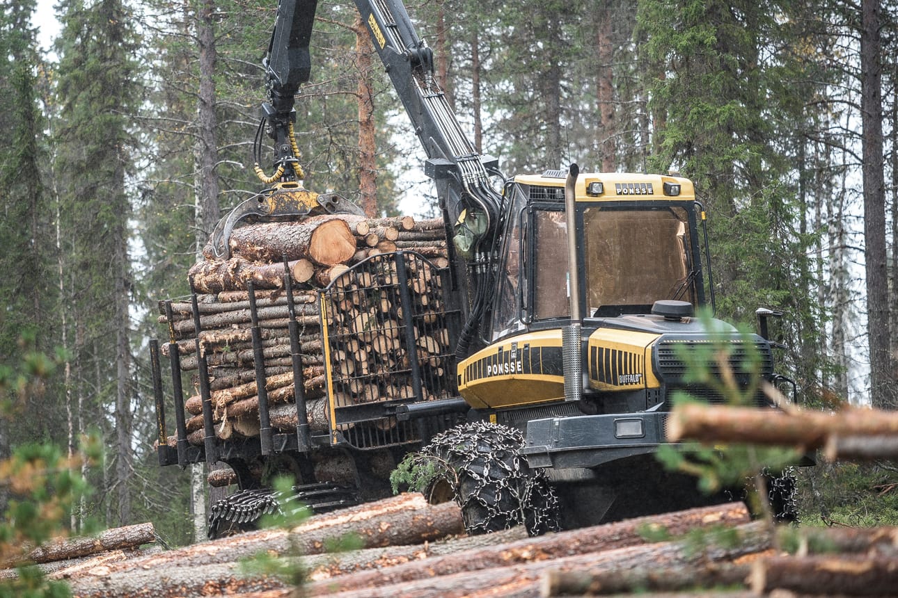 Metsäkauppoja tehtiin vilkkaasti viime vuonna Pohjois-Pohjanmaalla.