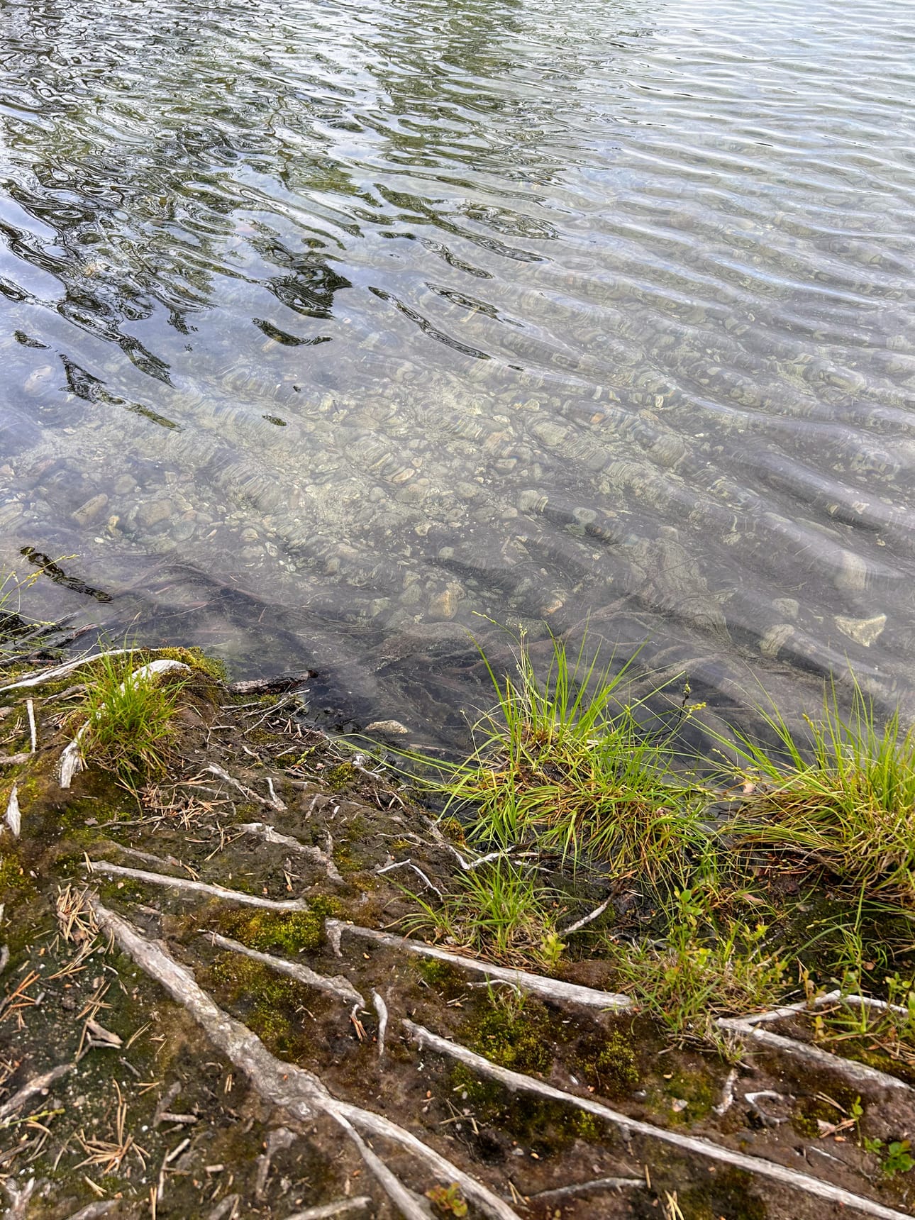 Soiperoisessa pääsee halutessaan uimaan, mutta biitsiolosuhteita ei ole. Järven pohja on kivistä.
