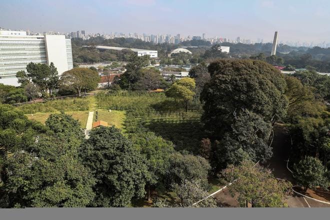Brasiliassa kahvia viljellään jopa suurkaupunkien kuten Sao Paolon metropolialueella.