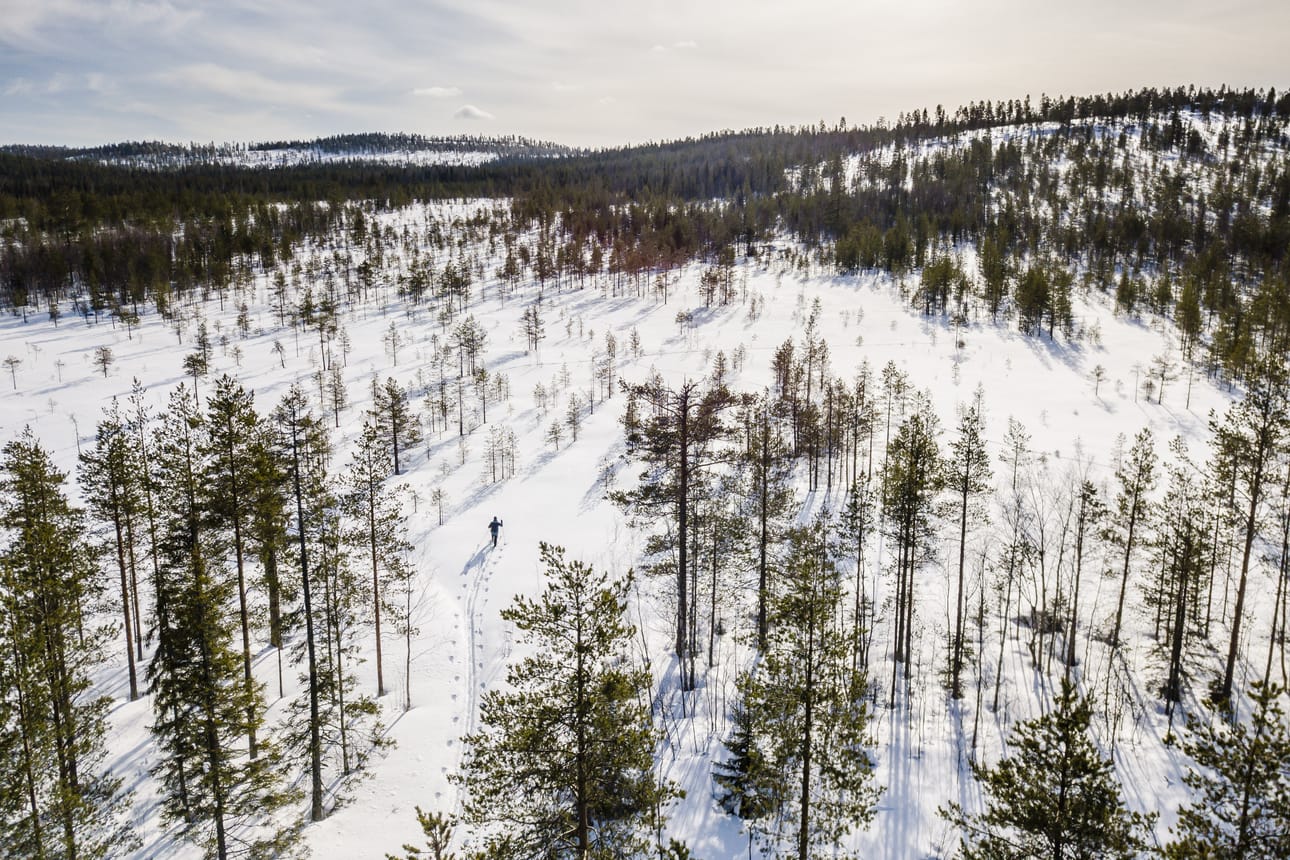 Ylitornion Konisaajon lähdealueelta saadaan VEEN vedet maailman huippuravintoloihin ja -hotelleihin.