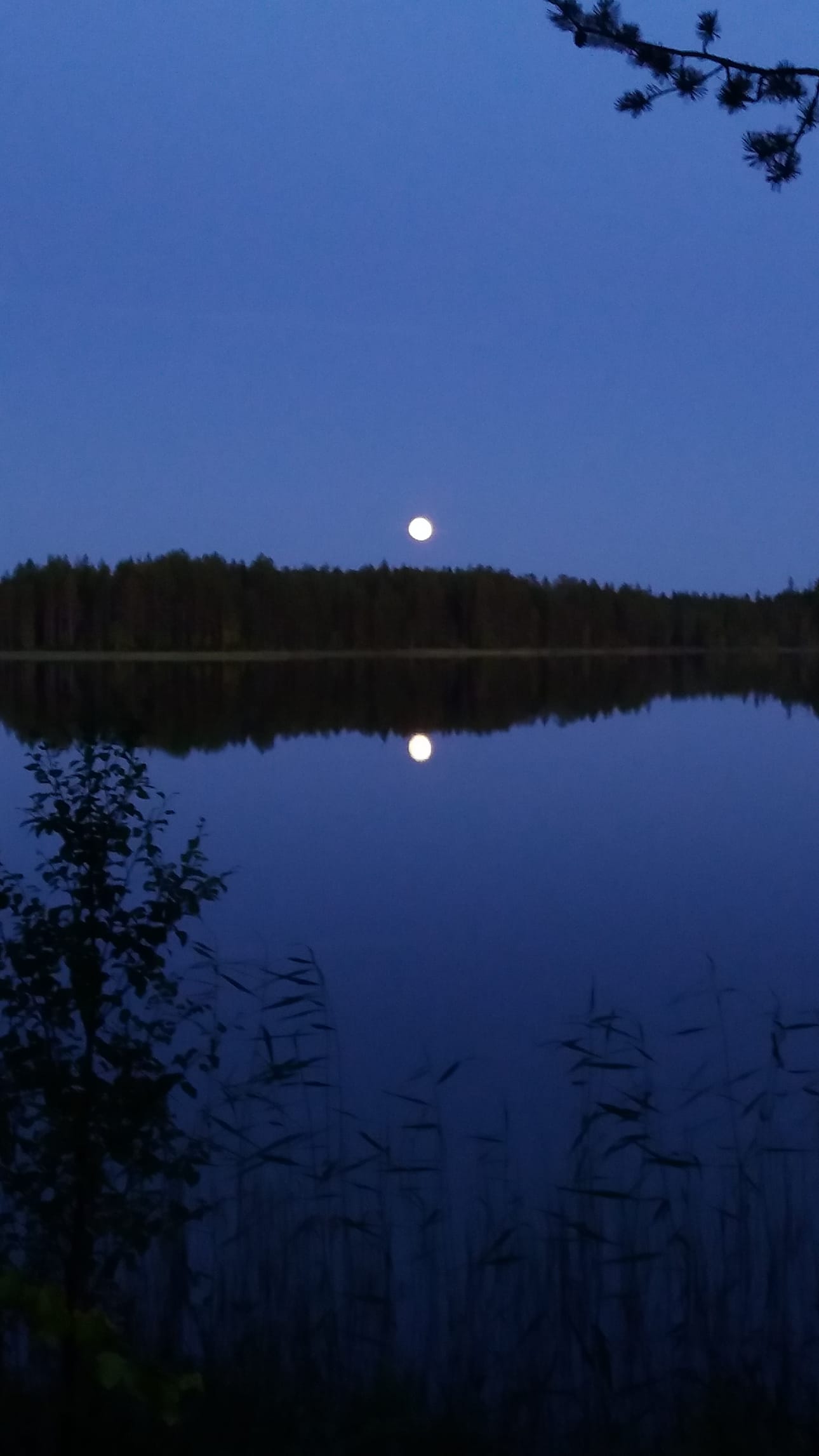 Kuun valo peilityynessä Rääpyslammessa