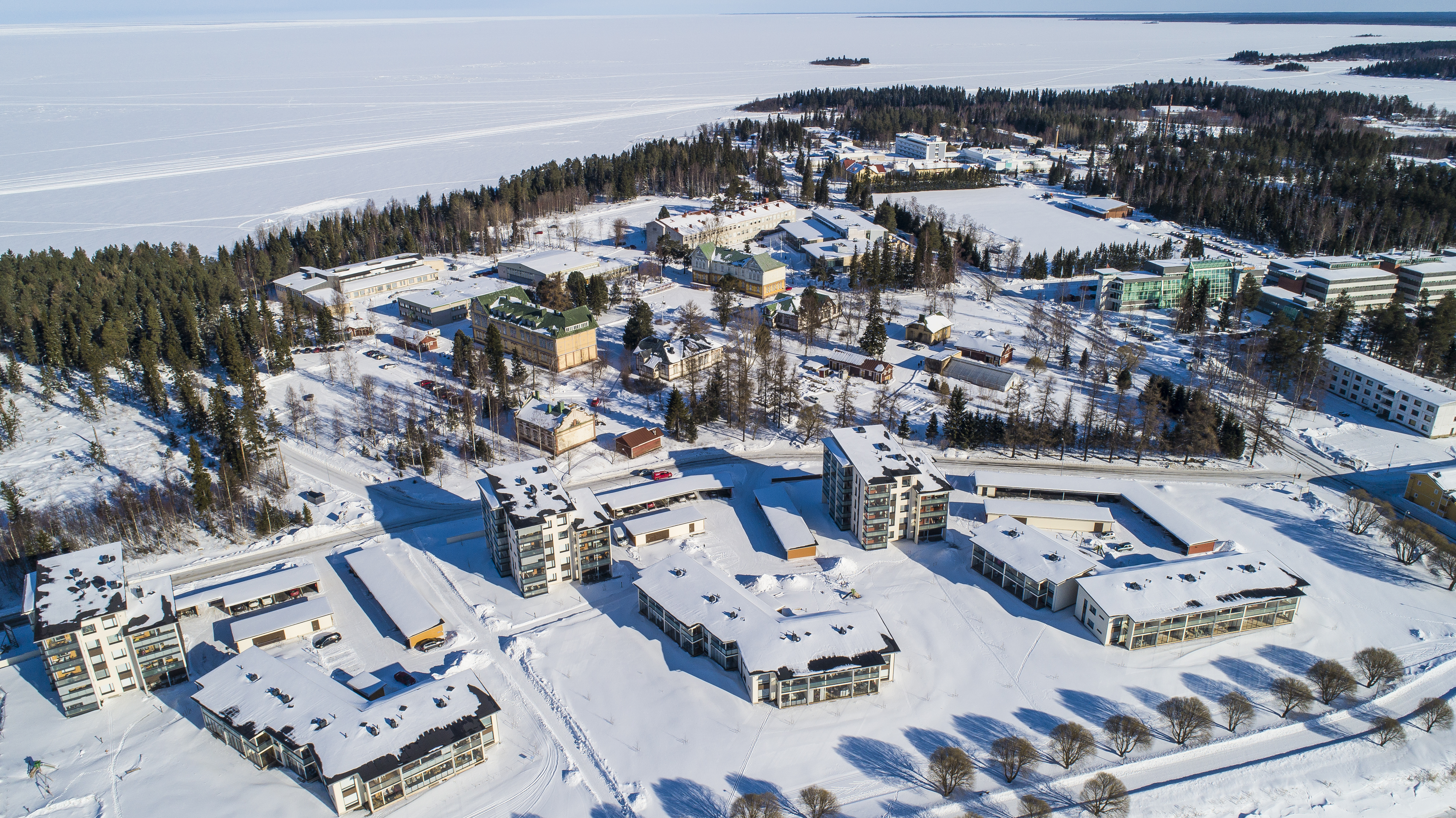Kerrostalorakemtamista pikkulahdella, Pikkulahti, rakentaminen, Lapti, kerrostalo