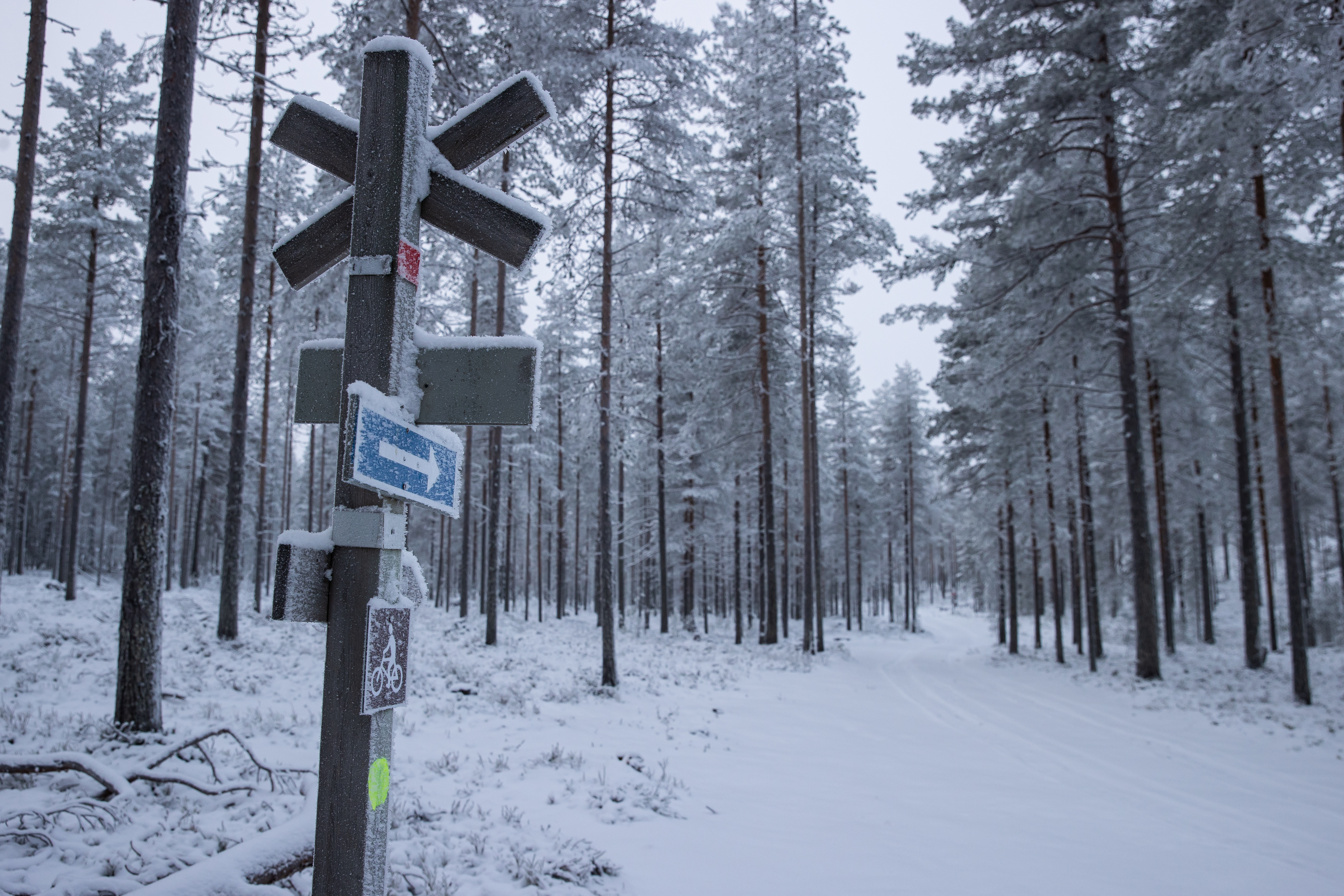 Valkeaisenjärven rannalle suunnitellulle uudelle kaava-alueelle voisi tulla mm. safaritaloa ja elämysravintolaa. Kyseiselle alueelle noin kilometrin päähän retkeilykeskuksesta lähtee metsäautotie Pajuluomantieltä.