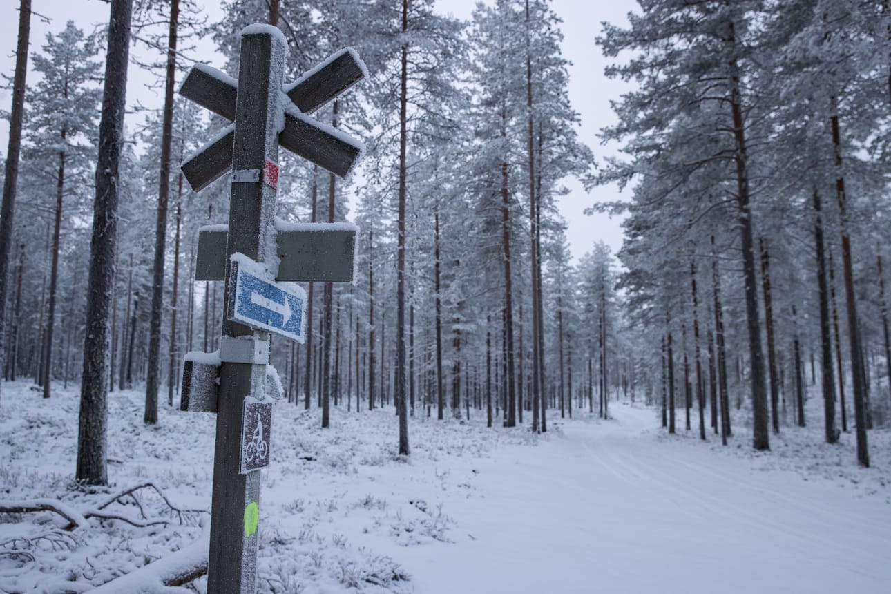 Valkeaisenjärven rannalle suunnitellulle uudelle kaava-alueelle voisi tulla mm. safaritaloa ja elämysravintolaa. Kyseiselle alueelle noin kilometrin päähän retkeilykeskuksesta lähtee metsäautotie Pajuluomantieltä.