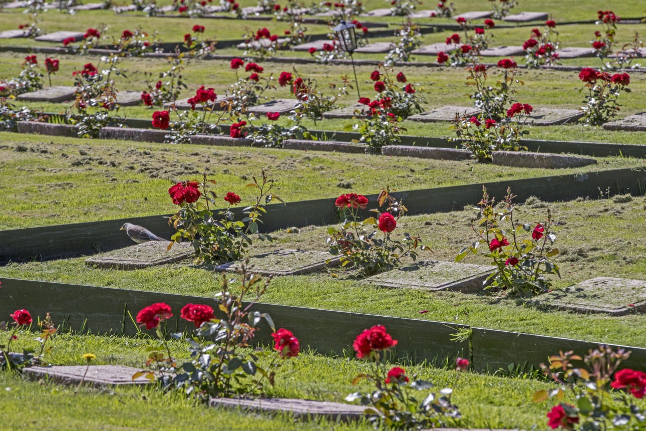 Oulun hautausmaan infraa on parannettu monena vuonna.