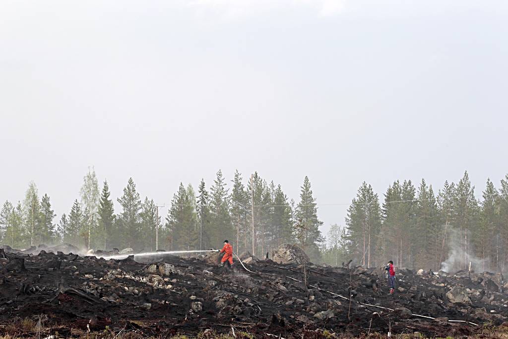 Hakkuualueeltä levinnyt tuli roihusi Kiimingissä Reposelällä kymmenen hehtaarin alueella.