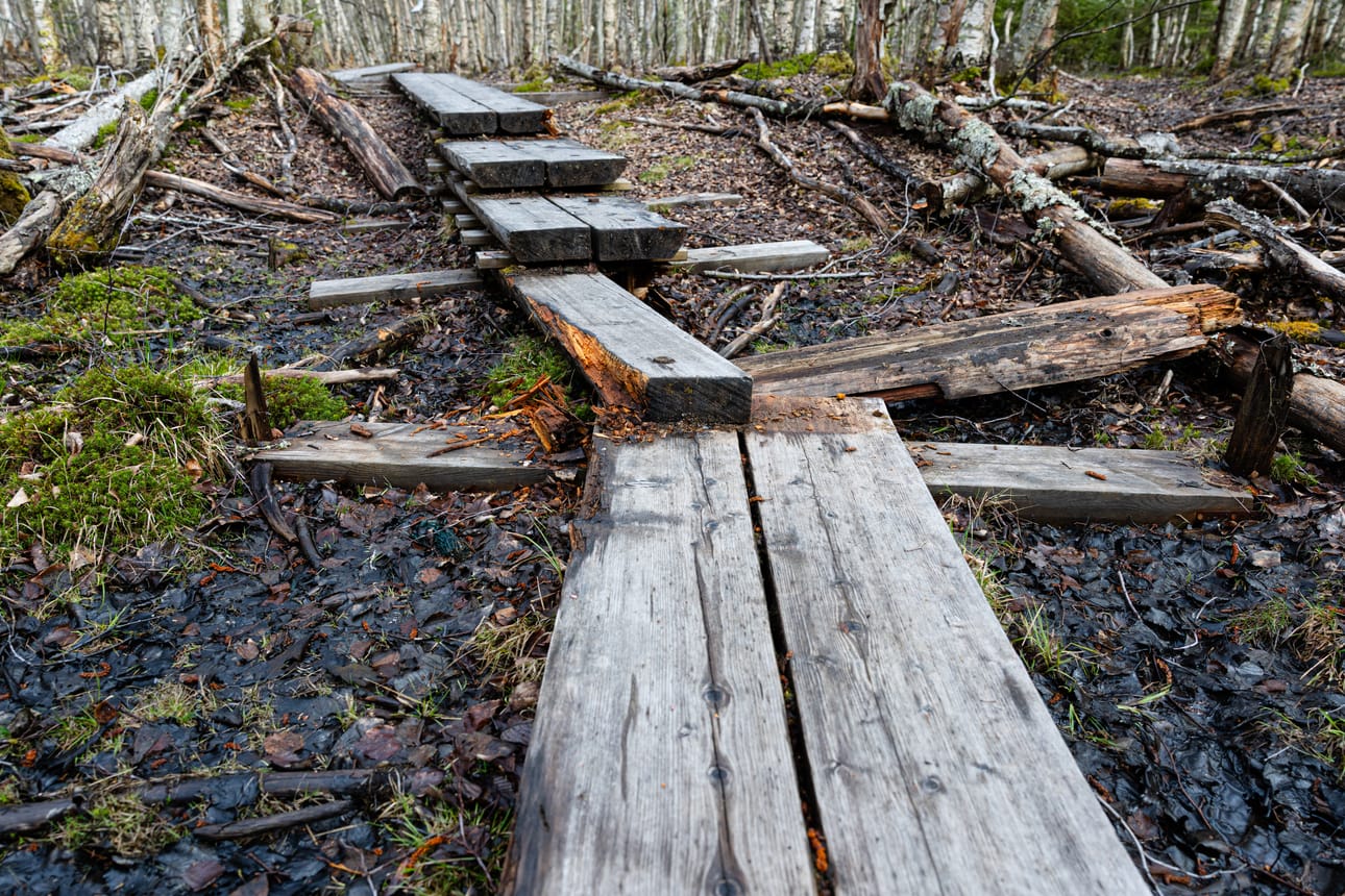 Yhdessä kohdassa toinen puu on lähtenyt kokonaan paikaltaan. Muutamassa paikassa myös pitkospuiden välisessä raossa on kulumaa.
