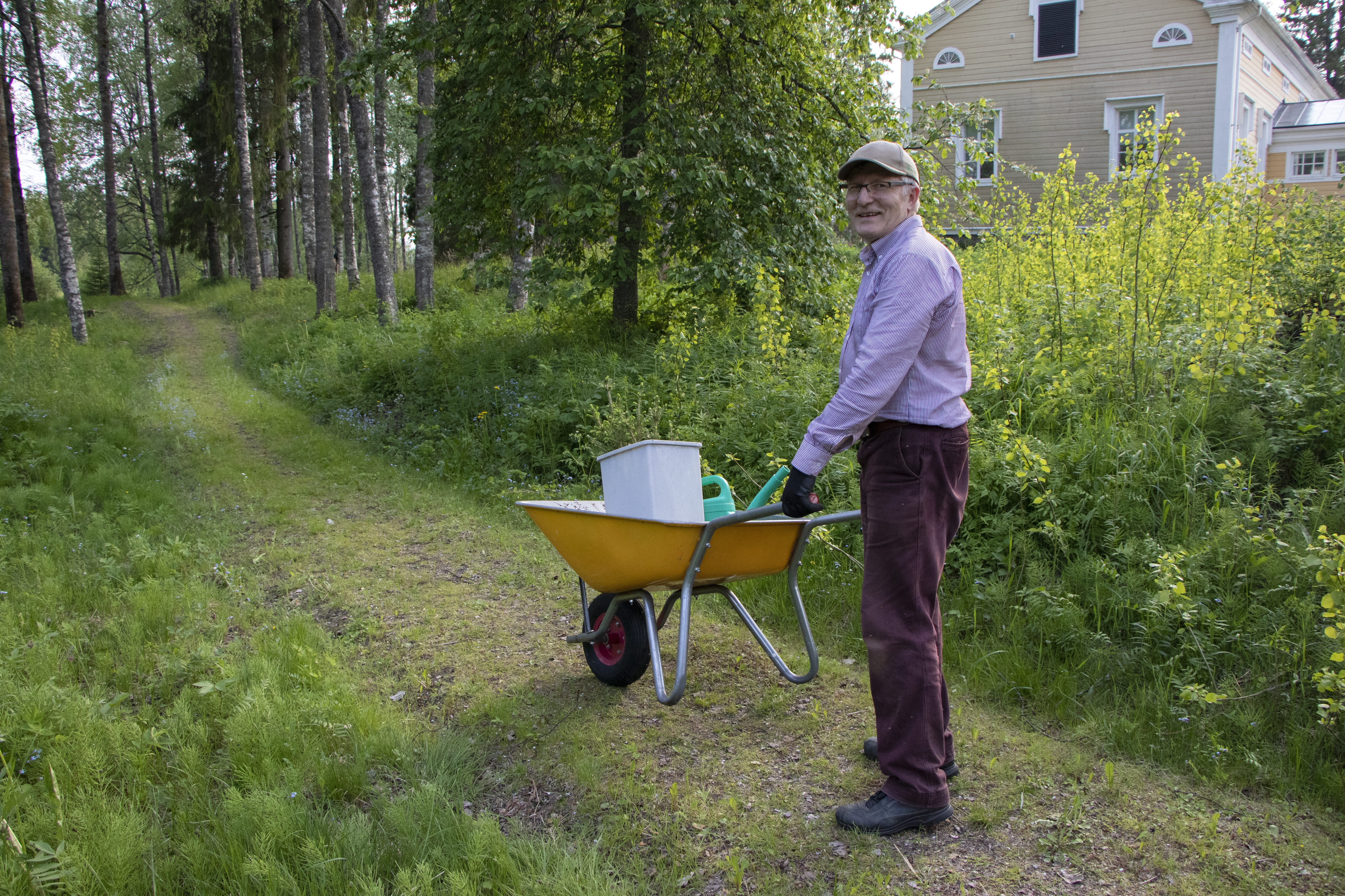 Siinä ei kauaa nokka tuhise, kun Piippolan kappelineuvostoon kuuluva Johannes Hyytinen tarttuu toimeen. Loppukeväästä kaadettujen puiden tilalle istutettiin jo uusia alkuja.