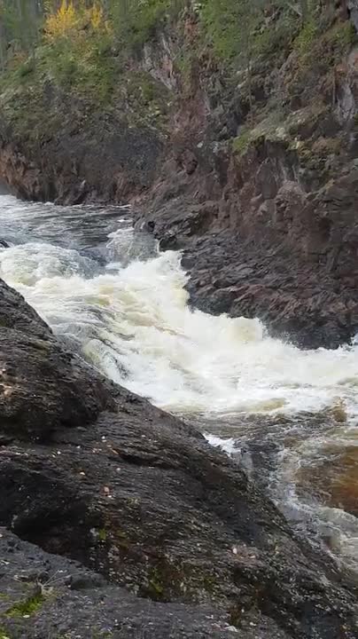 Kiutakönkään kuohuja