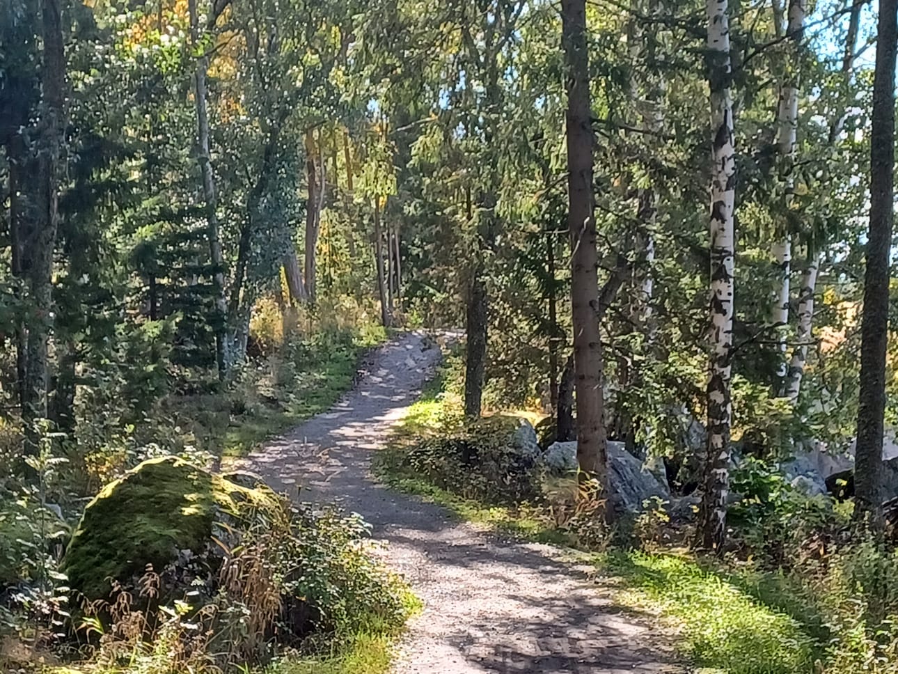 Suvilahden rannassa kulkevat tiet ovat kauniita.