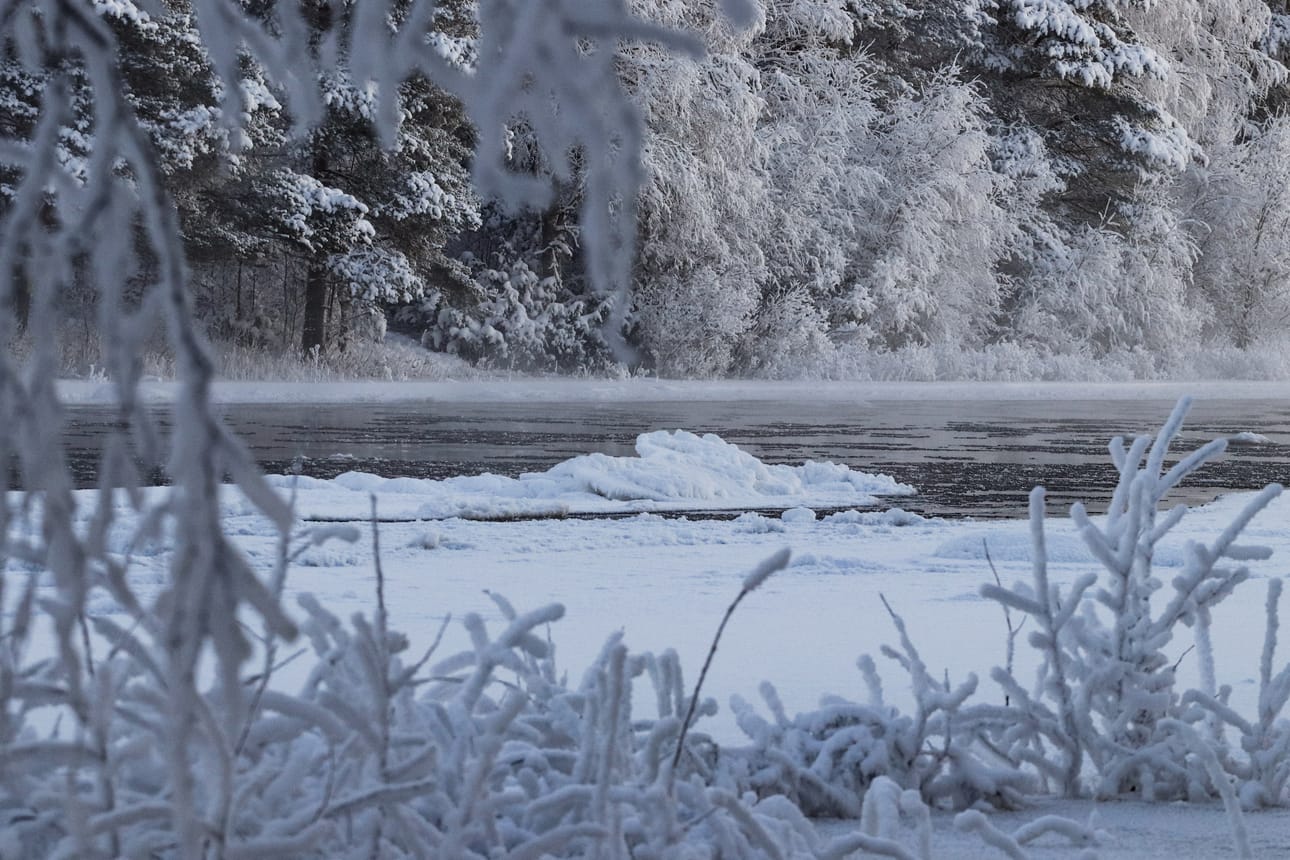 Iijoella ajelehtii nyt jäälauttoja, jotka voivat kasaantua ja muodostaa padon. Kuva on Pudasjärveltä.