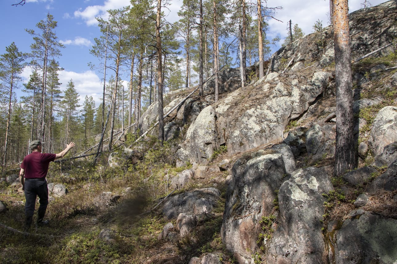 Museotien varrella, Pellikaisennevan reunamilla sijaitseva Korkiakallio on maisemallinen helmi, joka on pysynyt piilossa monelta. Antero Aution mukaan Piippolan korkeimpiin kuuluvalla paikalla oli yksi maan kolmiomittaustorneista.