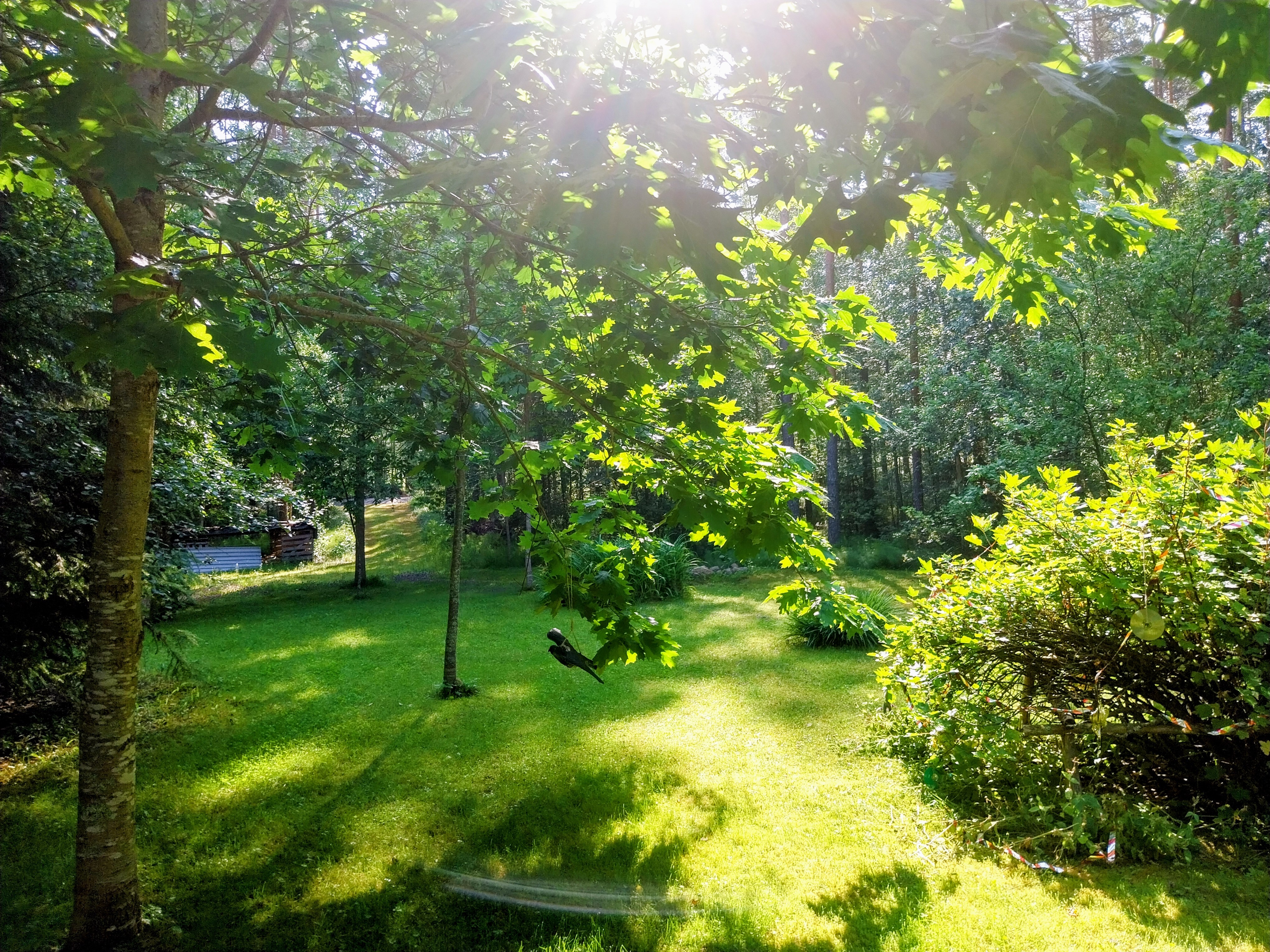 "Hyvää kesää kaikille isän syntymäkuntaan!" – Onko sinulla joku erityisen kaunis paikka puutarhassasi?