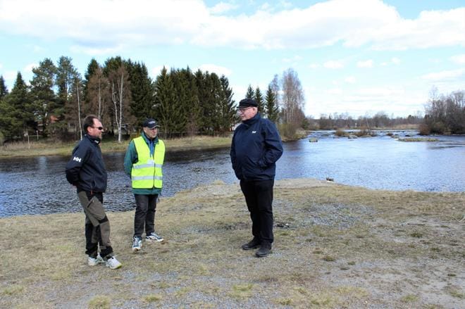 Paul Hautaviita, Reijo Lamminpää ja Paavo Rantala arvelevat koronan olevan yksi syy siihen, että meritaimenistaan tunnettu joki on ollut entistä suositumpi. KUVA: MINNA ZILLIACUS