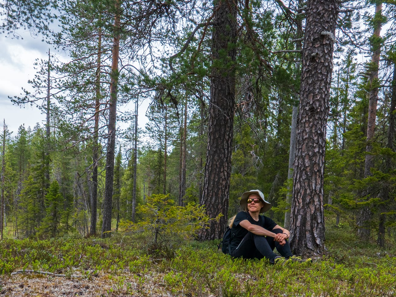 Suinkaan kaikkia iäkkäitä mäntyjä ei aikoinaan kaadettu, vaikka tarkkasilmäinen kulkija voikin nähdä Martinselkosessa vanhoja sahakantoja. Nykyisin alueen metsät saavat vanheta rauhassa.