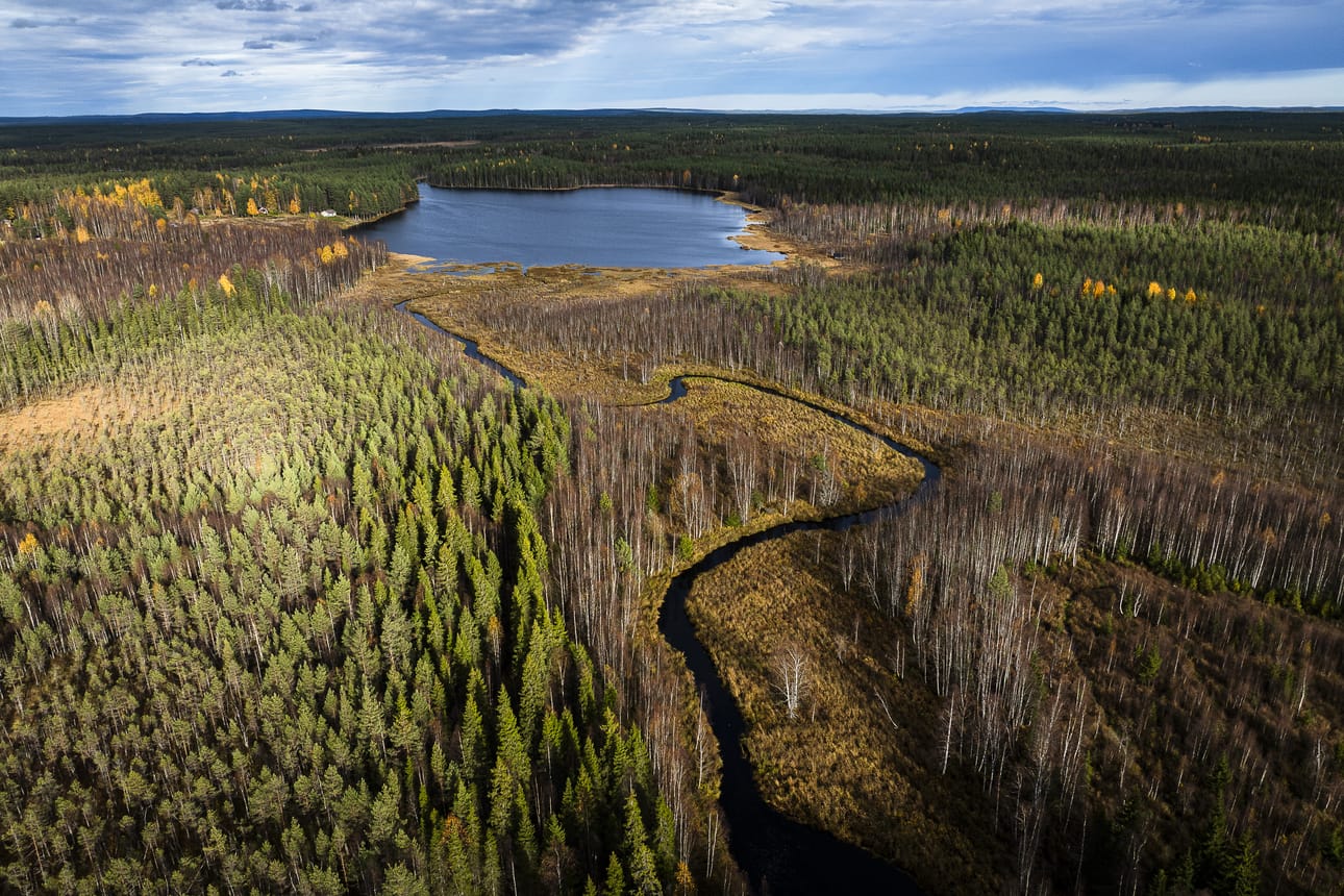 Jokilammen ravinnekuormitus on tuplasti suurempaa kuin sen luontaisesti pitäisi olla. Ylimääräinen kuormitus syntyy lähes yksinomaan metsätaloudesta. Jatkohakemus hankkeelle jätetään tammikuussa. Potentiaalisten kohteiden pitäisi varmistua vuoden loppuun mennessä.