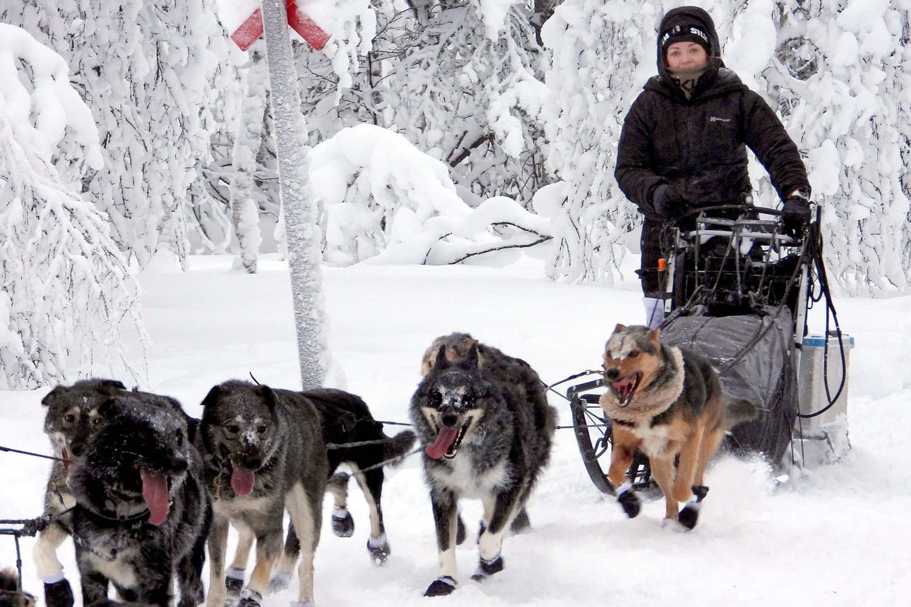 Matka on vasta alussa mutta illalla pääsee lepoon Nellimissä, jossa kyläyhdistys on apuna järjestelyissä. GRR on 500 kilometrin kisa, jossa on pakko levätä kahdeksan tuntia eli neljä tuntia yötä kohti. Kisassa on 21 osallistujaa.