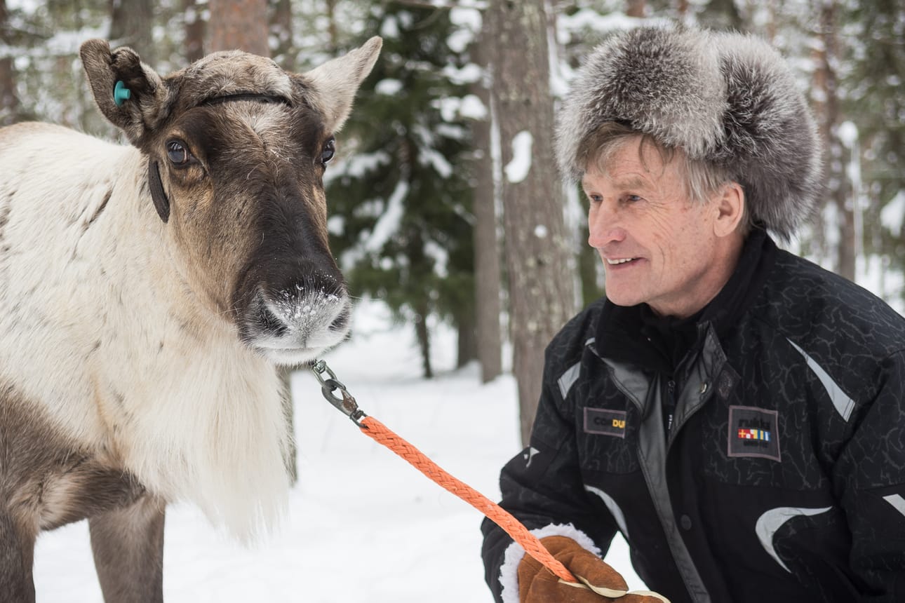Esko Aholan omistama Tummanopsa sijoittui kuumassa sarjassa toiseksi Pellon Lankojärvellä sunnuntaina.