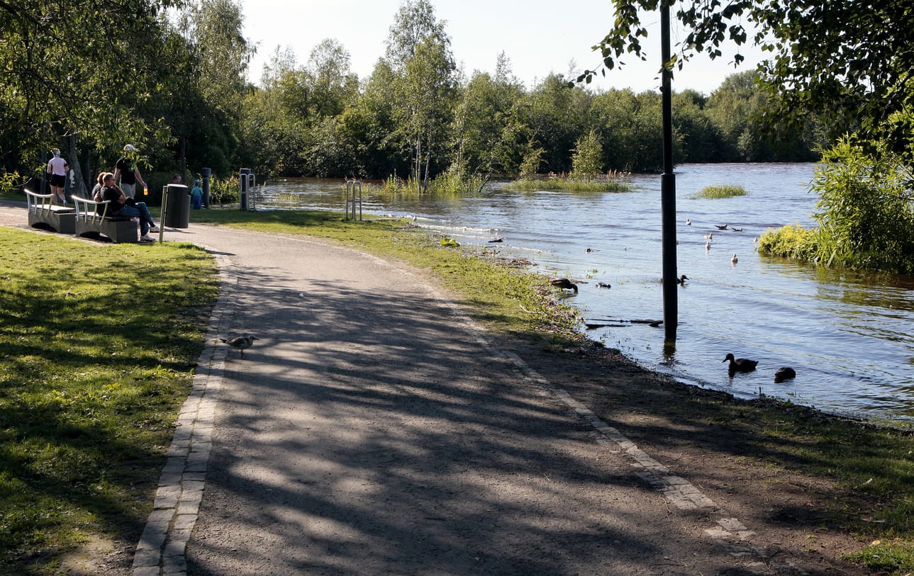 Vesi nousee edelleen Ainolanpuistoon.