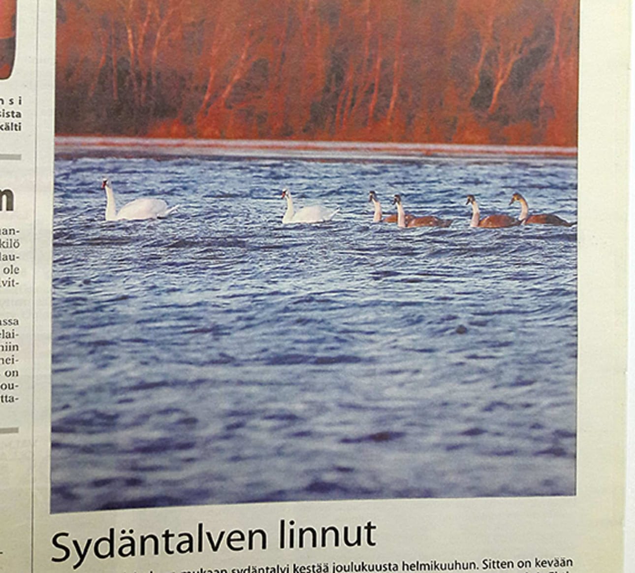 Vuonna 2007