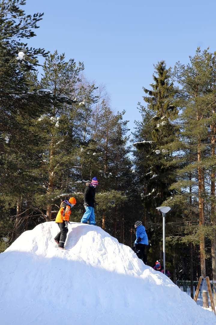 Taikametsä uhattuna. Jos väistötilat sijoitetaan Viirinkankaan koululle, joudutaan koululaisten leikkipaikkana toimivaa lähimetsää hakkaamaan viipalekoulun tieltä.