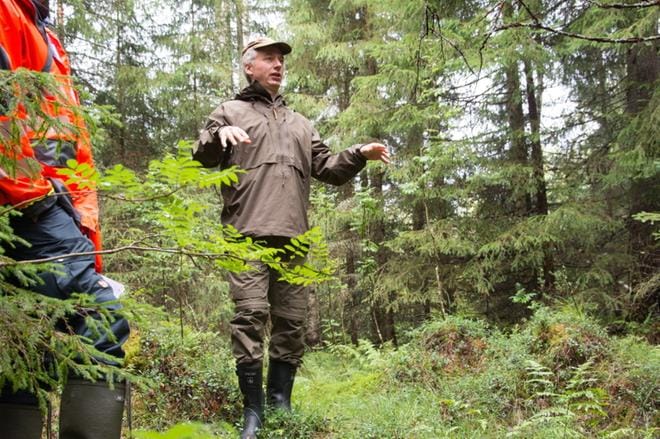 Lauri Saaristo kannustaa metsänomistajia vaalimaan monimuotoisuutta, sillä se on perusta myös kaikille metsästä saataville hyödyille. Esimerkiksi lahottajia varten säästetään puita, koska lahottajalajit vastaavat siitä, että ravinteet kiertävät ja uusi puusto voi kasvaa. KUVA: JESSICA RISTIMÄKI